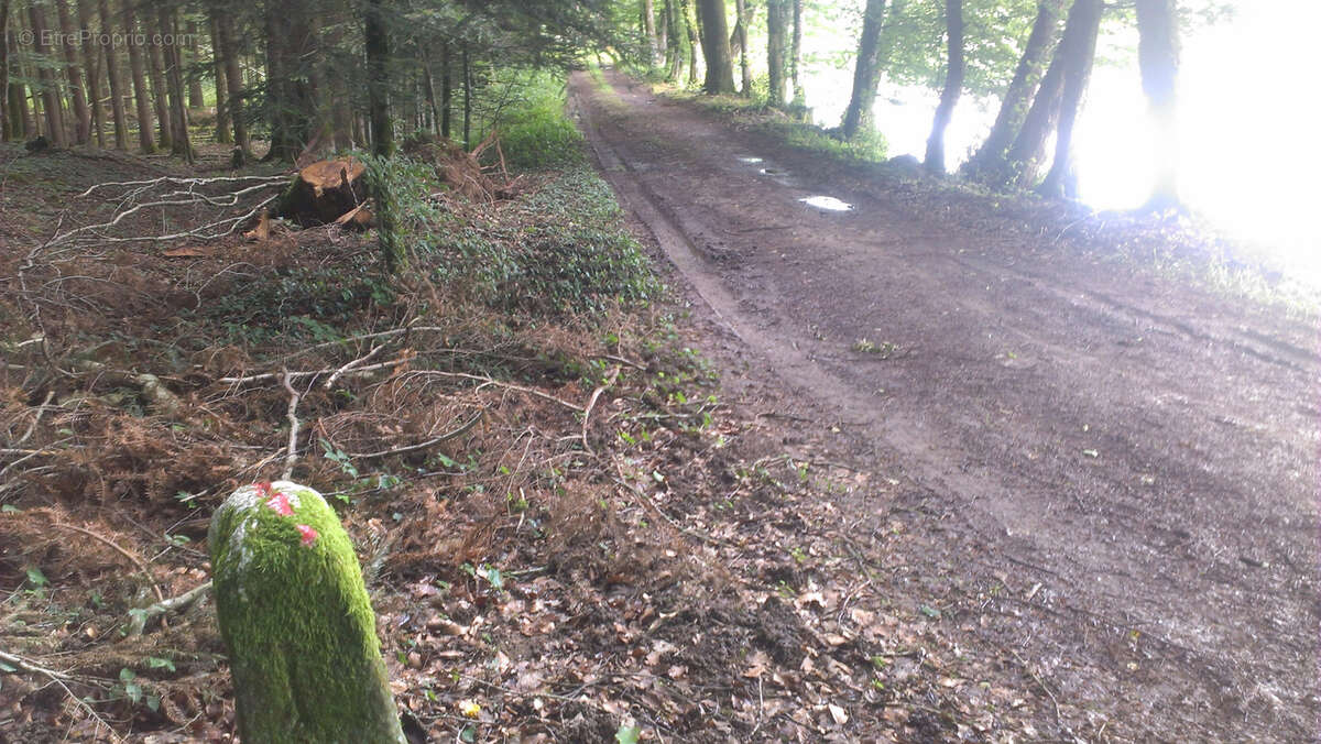 Terrain à PLOMBIERES-LES-BAINS