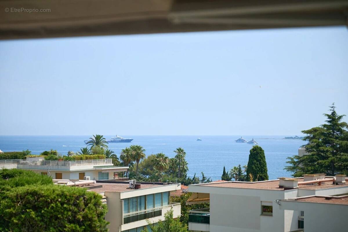 Cannes basse californie - terrasse vue mer - 5p luxe - photo 11