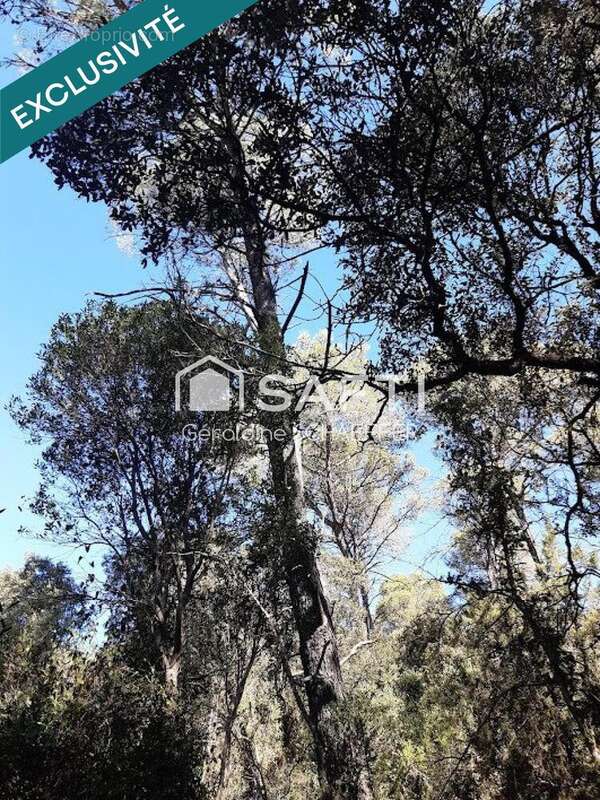 Photo 6 - Terrain à VACQUIERES