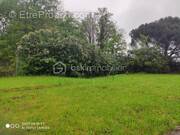 Terrain à SAINT-ARNOULT-EN-YVELINES