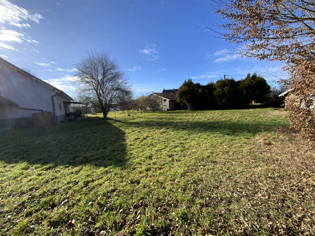 Terrain à FRANCHEVELLE