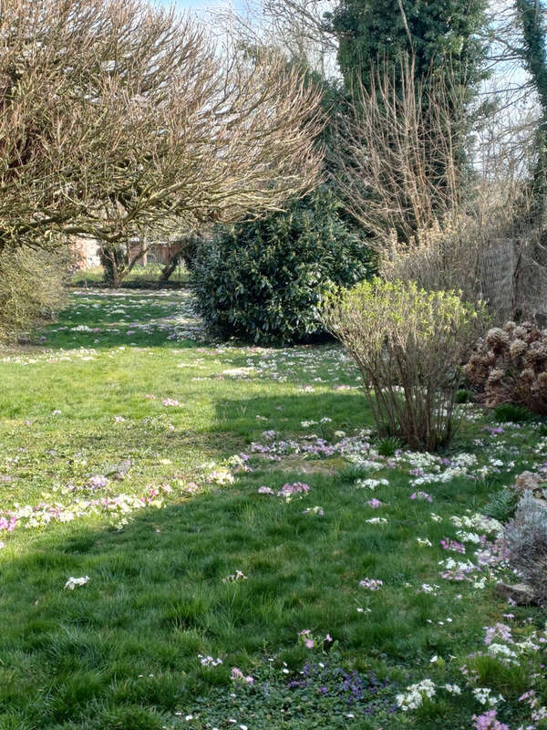 Appartement à CHATEAU-SALINS