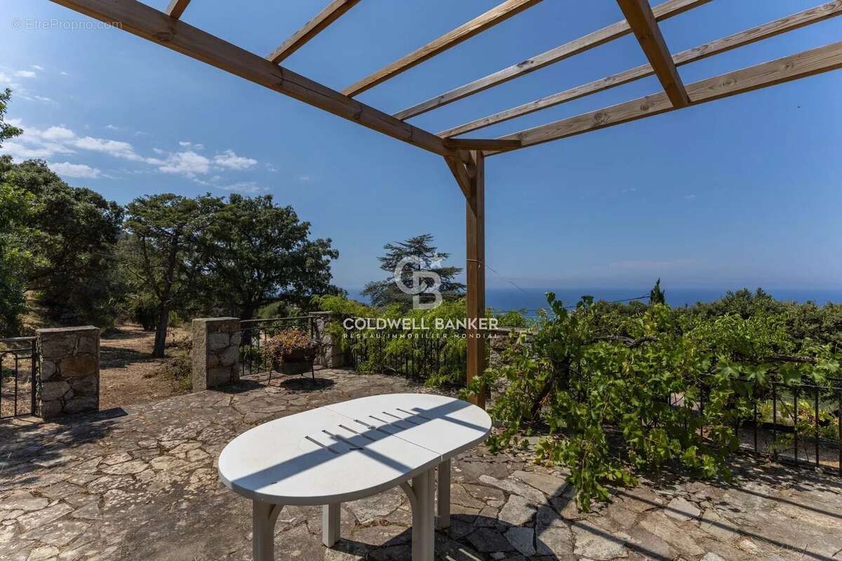 Corbara - Maison de caractère vue mer - Jardin & garage - photo 22
