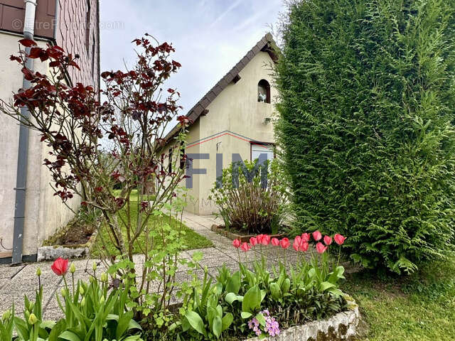 Maison à NEUFCHATEL-EN-BRAY
