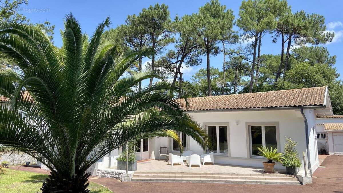 Maison à SEIGNOSSE