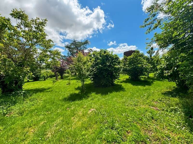 Maison à LAGRAULET-DU-GERS