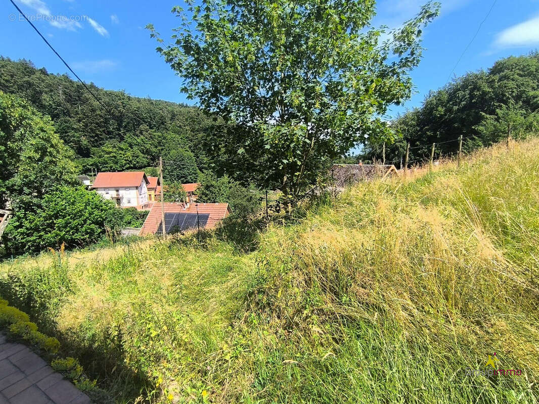 Maison à LE HOHWALD