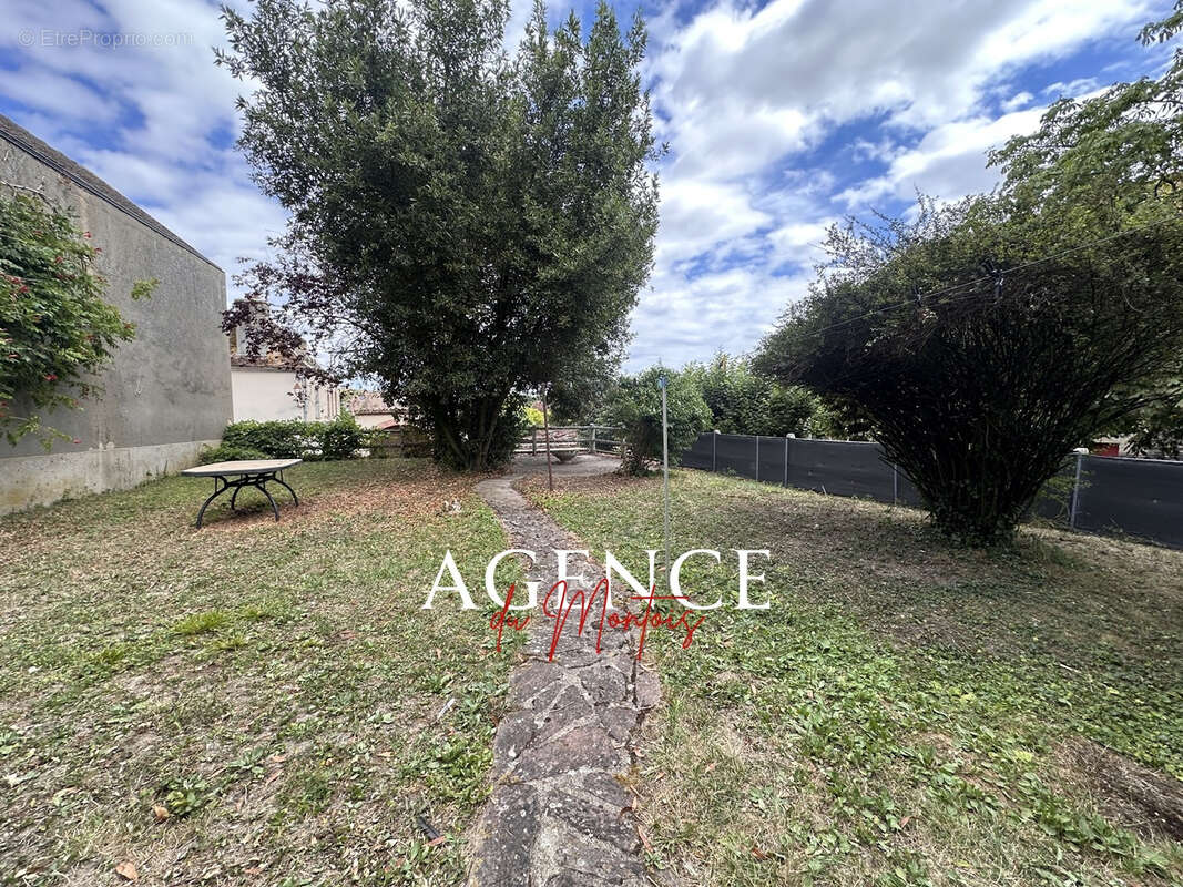 Région Sergines - photo 20