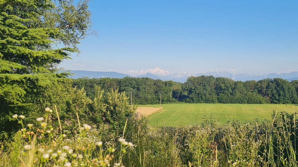 Terrain à CESSY