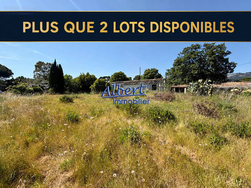 Terrain à OLLIOULES