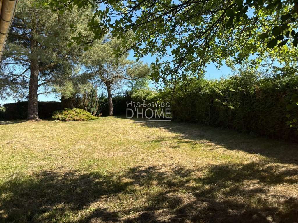 Maison à LA FERTE-GAUCHER