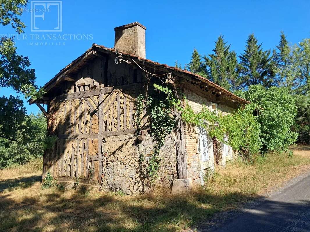 Maison avec étangs sur 12 ha - photo 2
