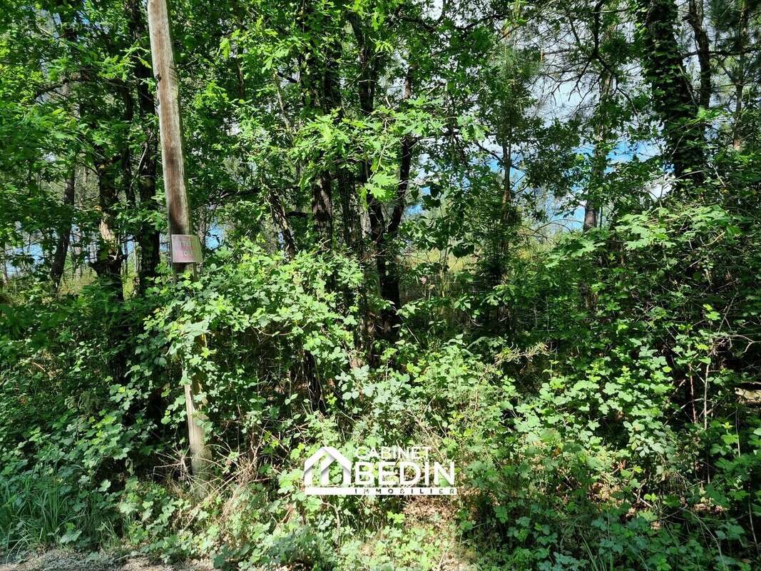 Terrain 5544 m² à Audenge  - photo 2