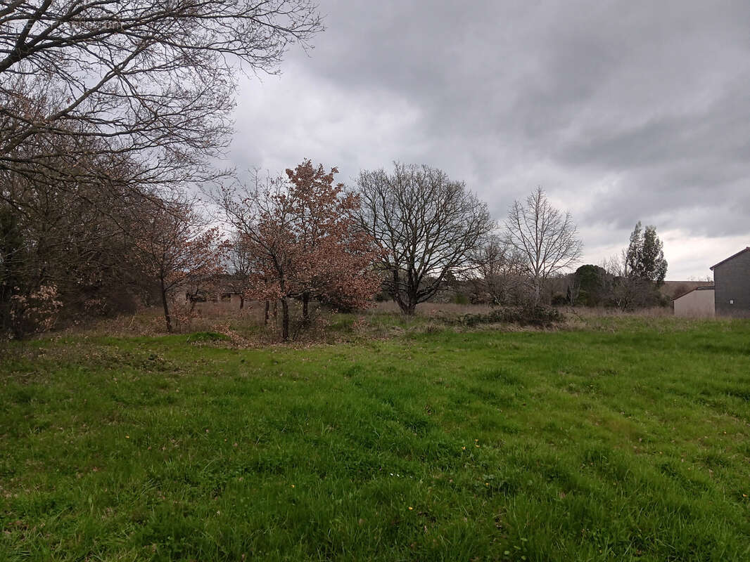 Terrain à LASSERRE