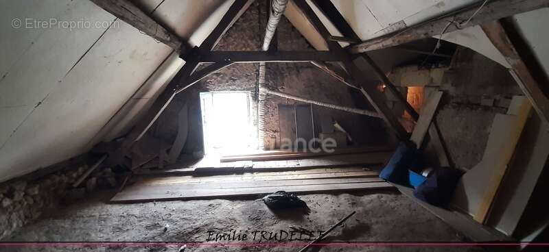 Maison authetique à vendre 4 pièces PONCE SUR LE LOIR (72) terrain 537m² - photo 18