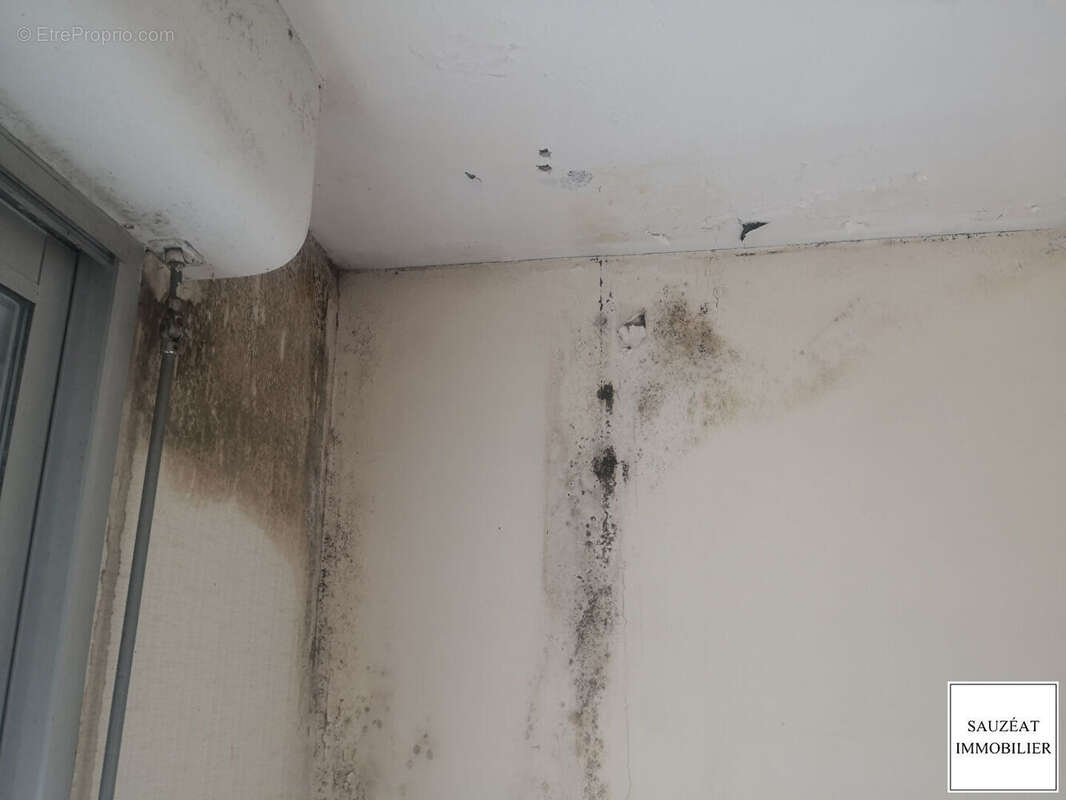 Appartement à SAINT-BENOIT-DU-SAULT