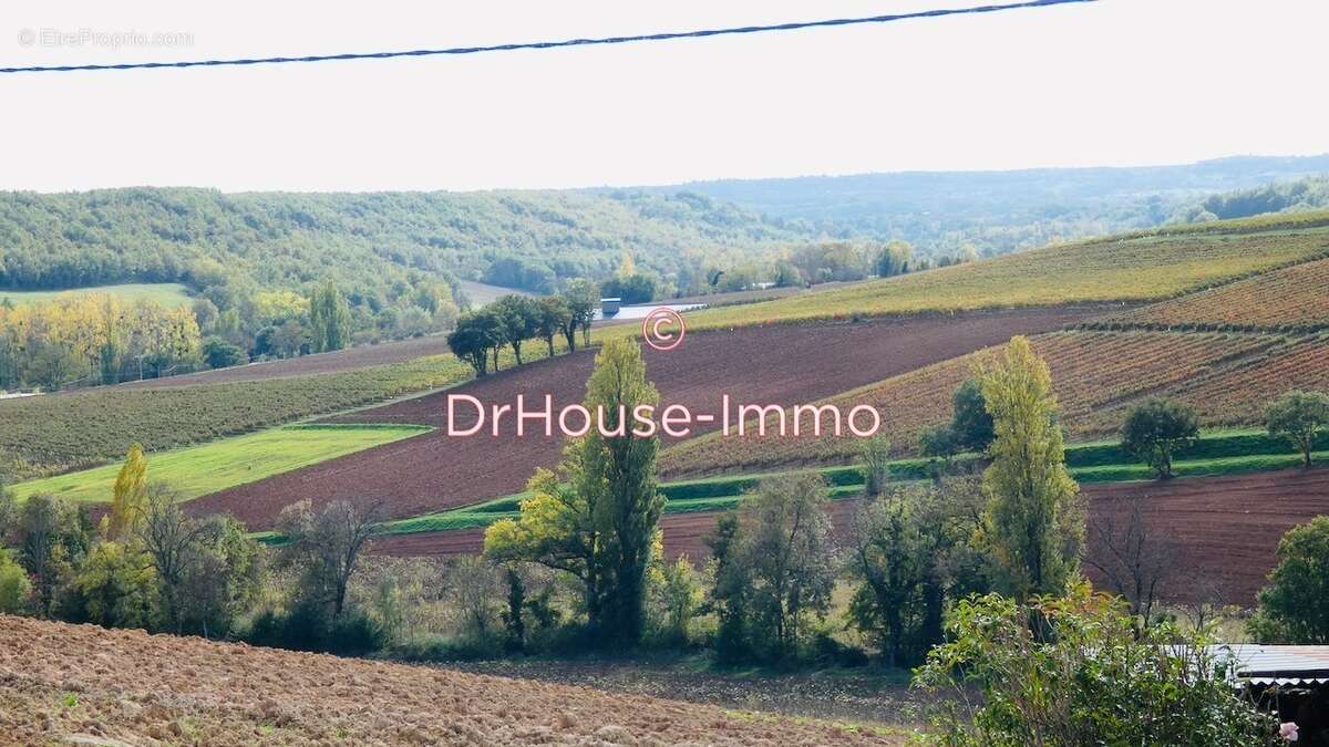 Maison 235 m² à Itzac  - photo 31