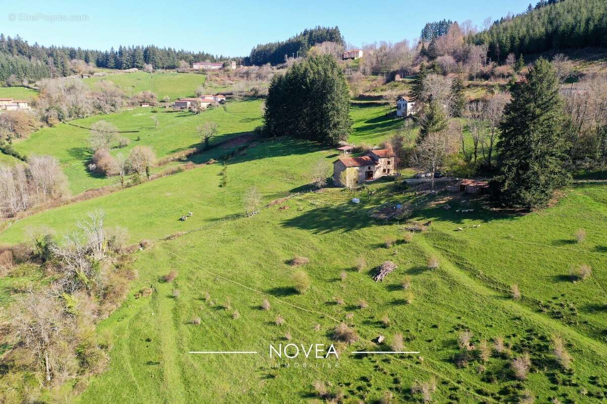 Maison et terrain de 6 Hectares - Maison à SAINT-IGNY-DE-VERS