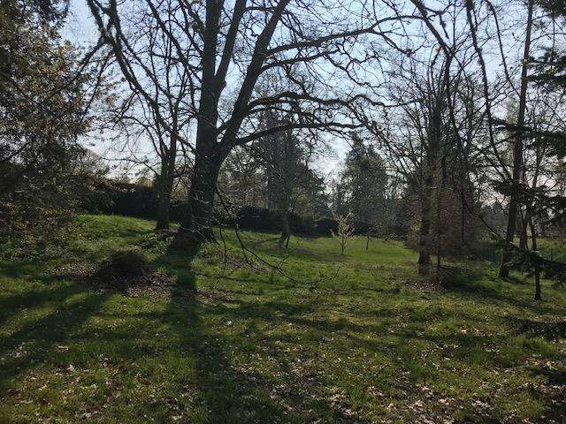 Terrain à BRINON-SUR-SAULDRE