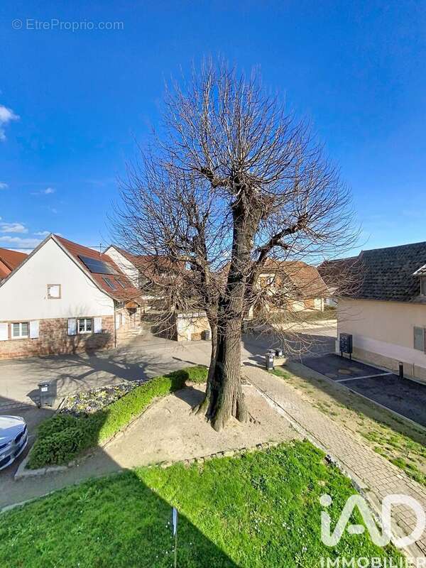 Photo 3 - Maison à KRAUTERGERSHEIM