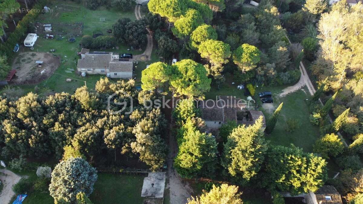 Terrain à SAINT-LAURENT-DES-ARBRES