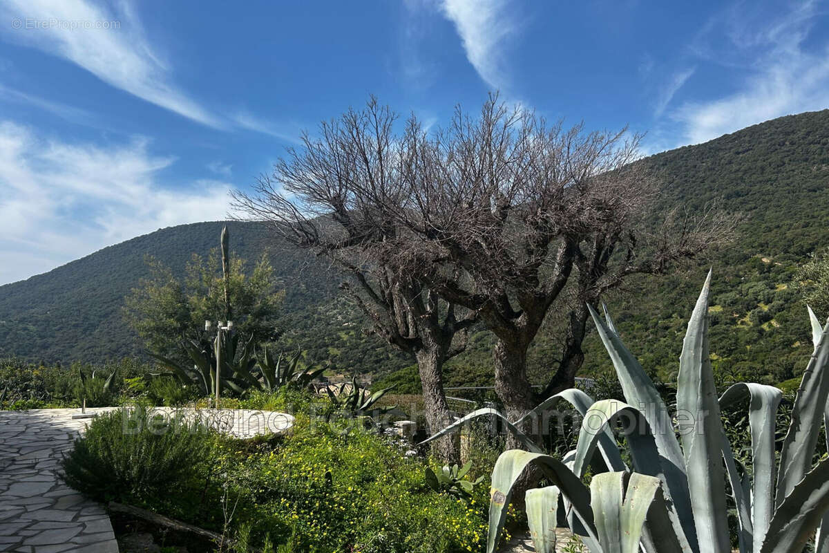 Maison à CAVALAIRE-SUR-MER