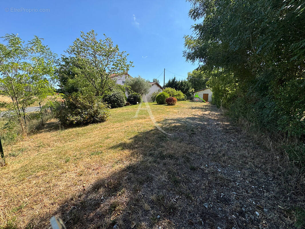 Terrain à GAILLAC