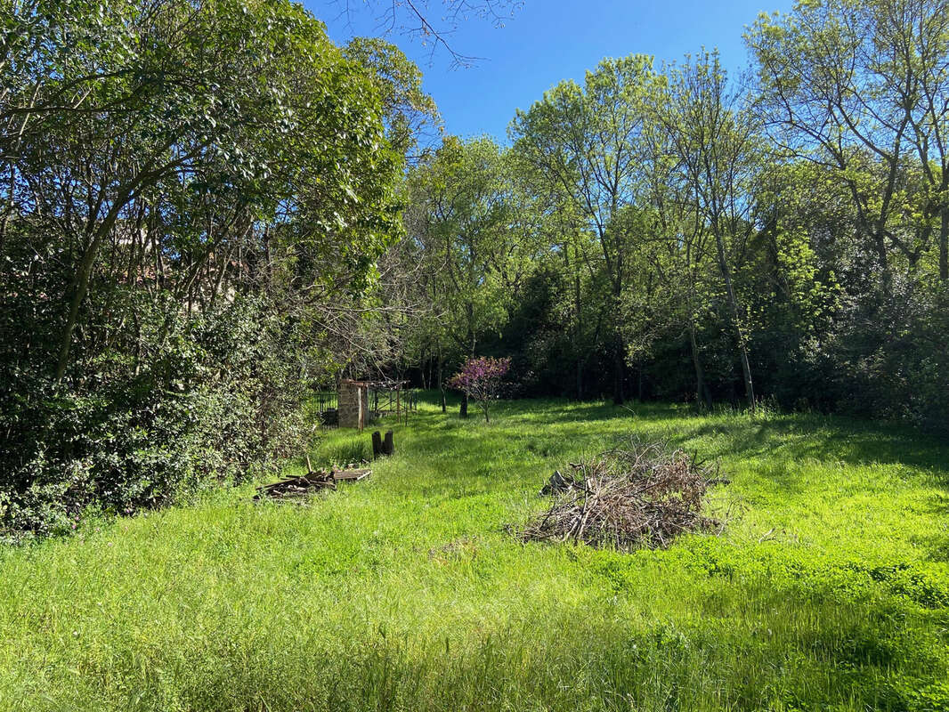 Maison à MONTPELLIER