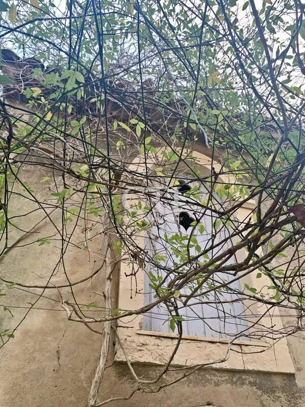 Maison à VAISON-LA-ROMAINE