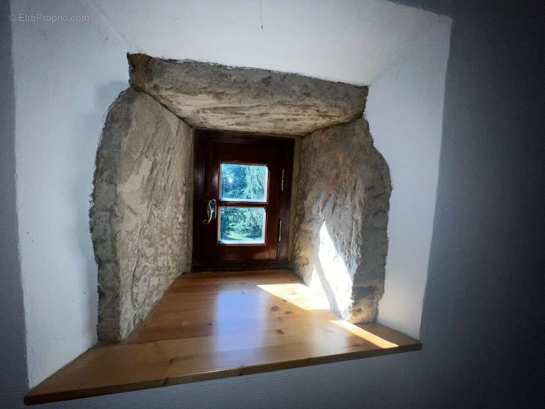 ELEMENT ANCIEN - Maison à PEYRINS