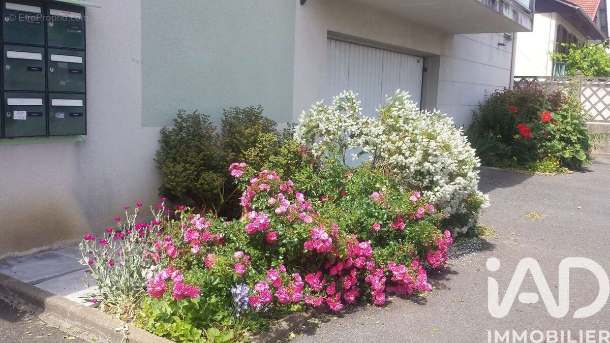 Photo 2 - Appartement à SAVIGNY-SUR-ORGE