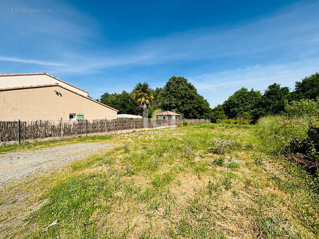 Terrain à SAINT-LEGER-LES-VIGNES