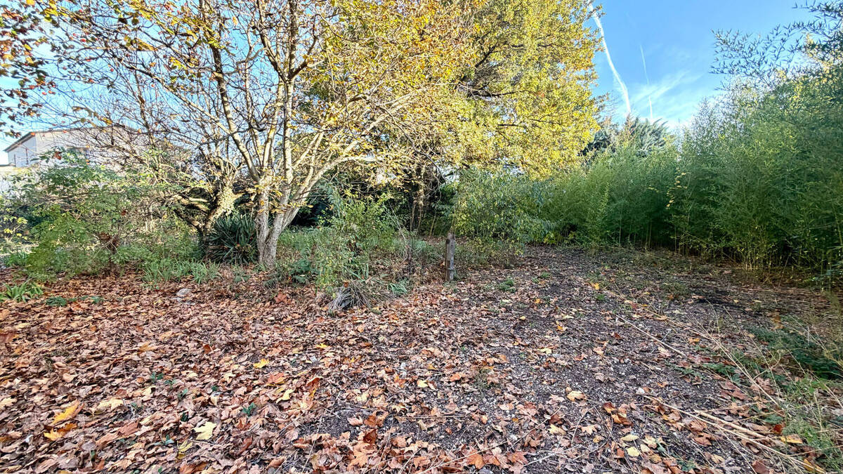 Terrain à ENTRAIGUES-SUR-LA-SORGUE