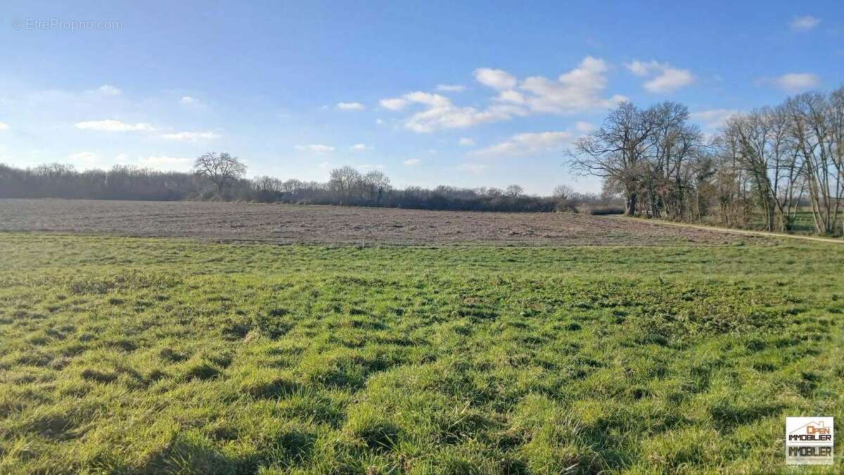 Terrain à BOURG-DU-BOST