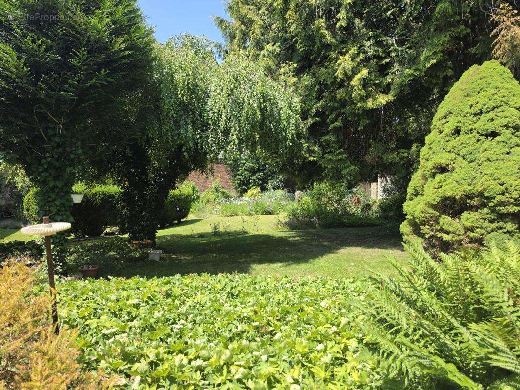 Maison de caractère 228m² avec garage et terrain clos - photo 19
