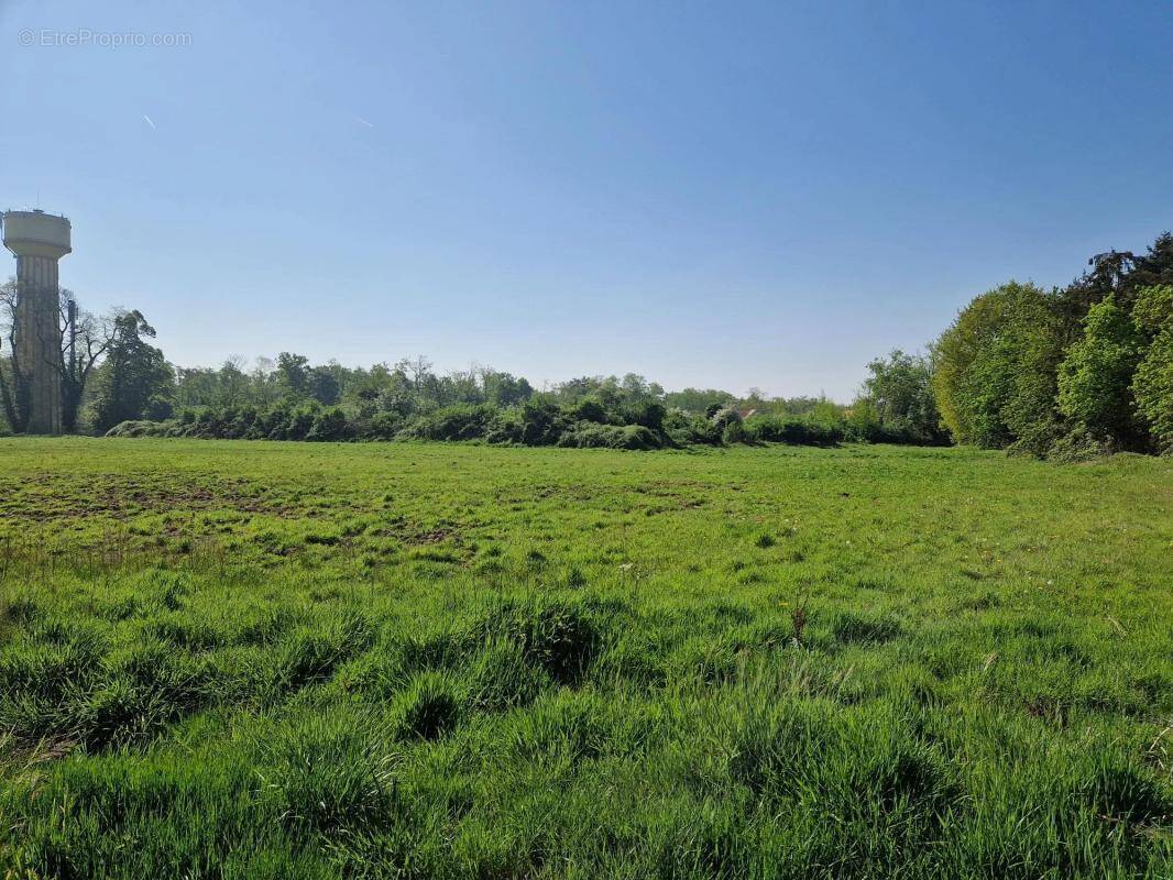 Terrain à BAZICOURT