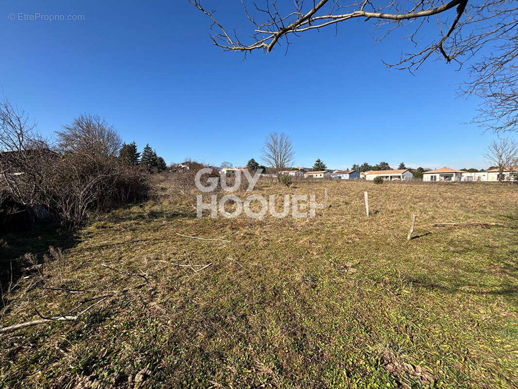 Magnifique terrain de 1800 m² sur Vinezac - photo 2