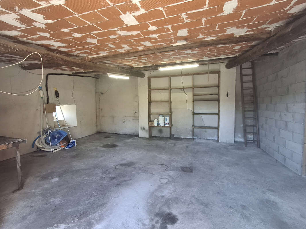 Nouveauté en exclusivite - photo 16