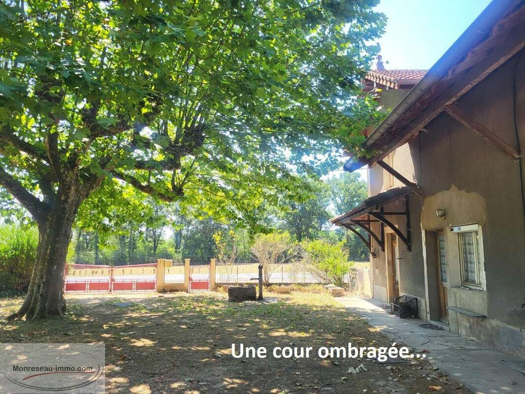 Une belle endormie à faire revivre : Un véritable bond dans le temps... - photo 4