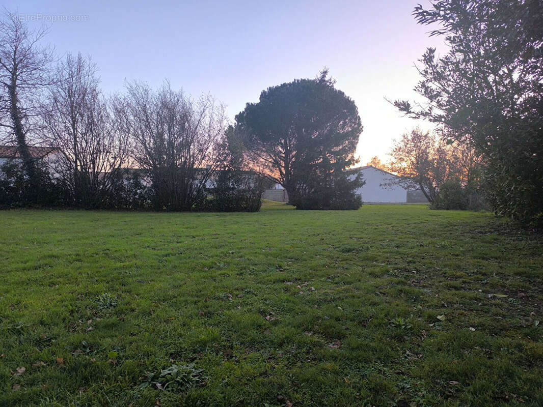 Terrain à SAINT-MATHURIN