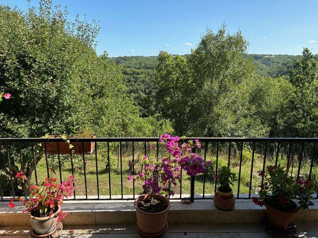 Cahors Hauteurs - Au calme - photo 3