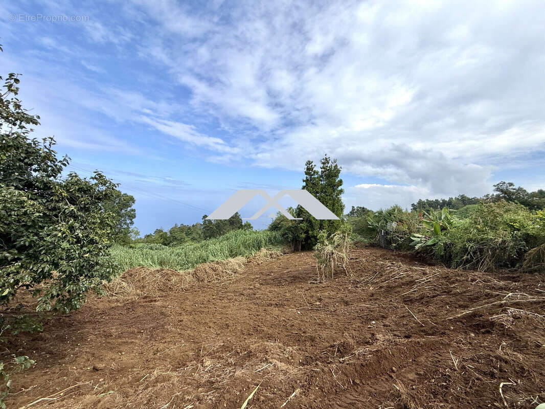 Terrain à SAINT-LEU