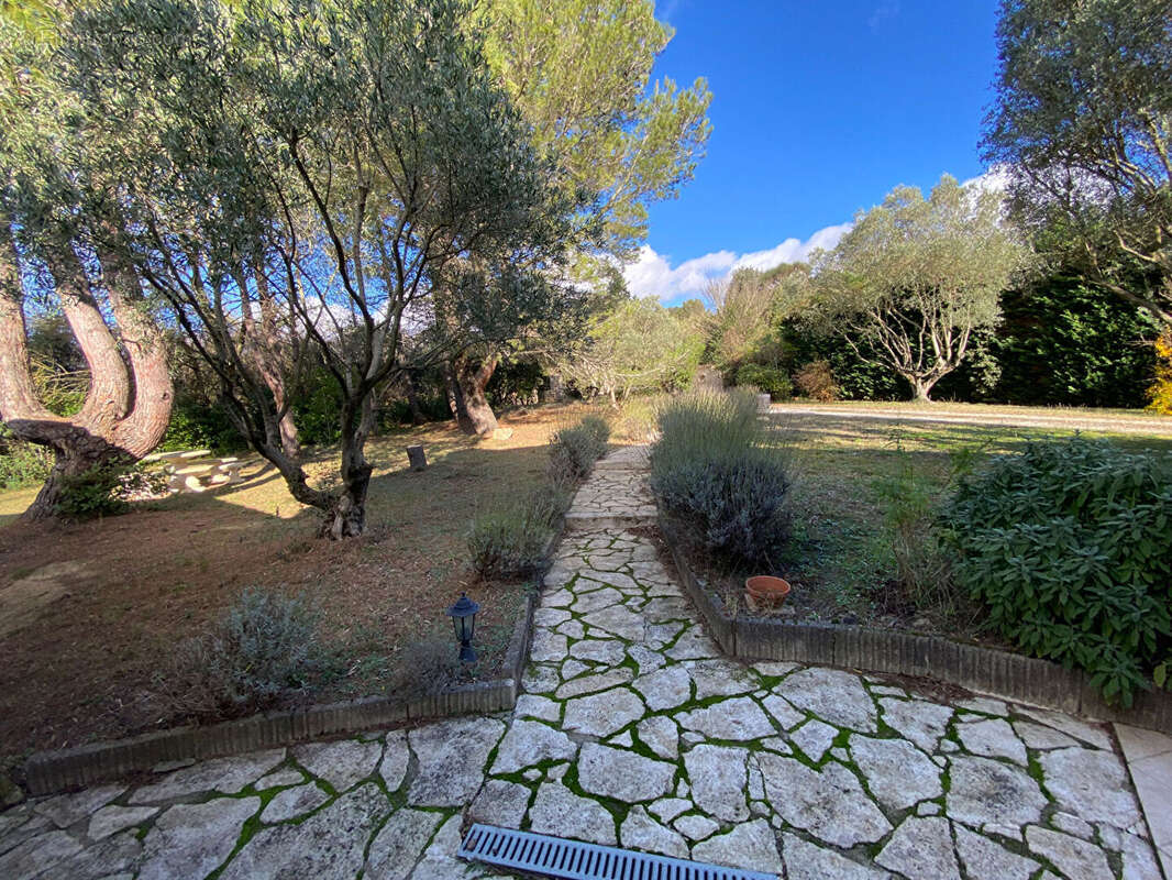 Maison type mas provençal, piscine, terrain 3300 m² - photo 12
