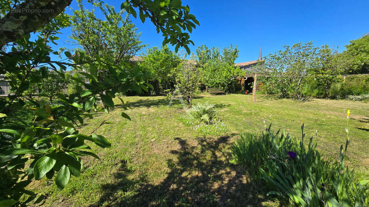 Terrain à L&#039;ILE-D&#039;OLONNE