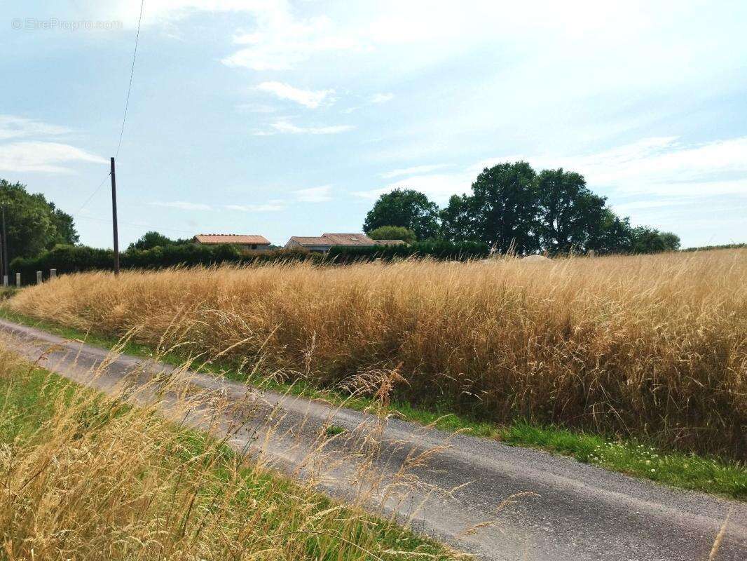 Terrain 2 546 m² à vendre à Merignac (17210) - photo 5