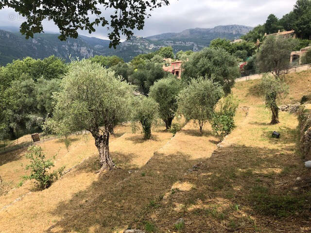 Terrain à TOURRETTES-SUR-LOUP