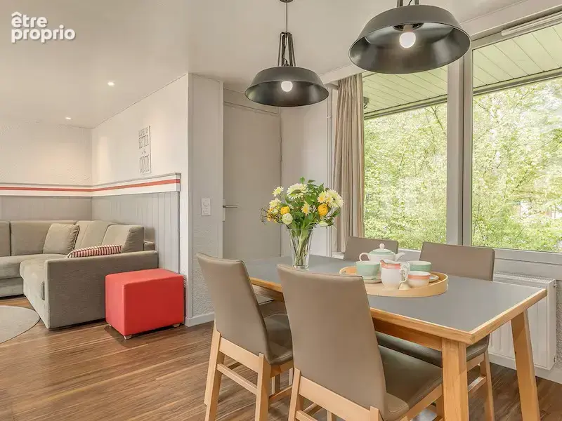 Investissement dans un Center Parcs - photo 3