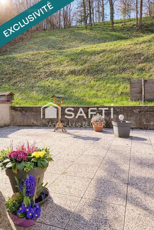 Photo 3 - Maison à SARREGUEMINES