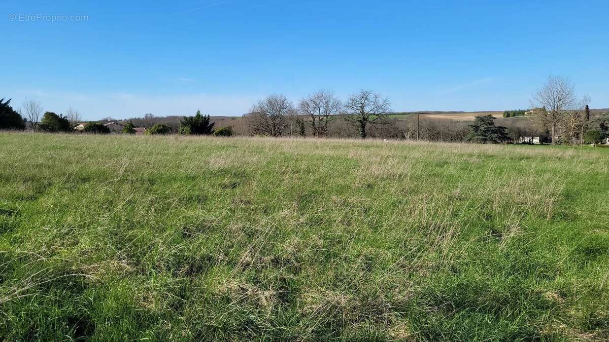 Opportunité rare : terrain constructible de 2 422 m² dans un village recherché avec commerces et école - photo 4