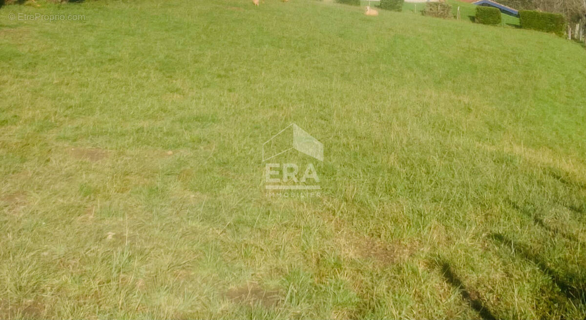 Terrain à CAMBO-LES-BAINS